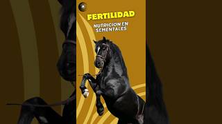 "💡 SECRETOS de la Fertilidad Equina: Nutrición y Calidad Seminal 🐎" #horseriding  #horse