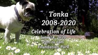 Tonka - Celebration of Life