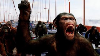 Top 10 Most Unique Facts About Apes and Humans #apes #humans #gorilla #mountaingorilla