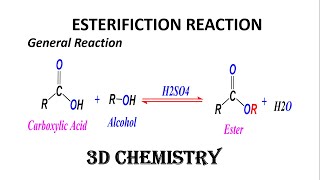 Esterification Reaction | Formation of Ester | Organic Chemistry