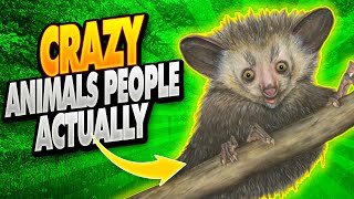 10 Most Crazy Animals People Actually Own