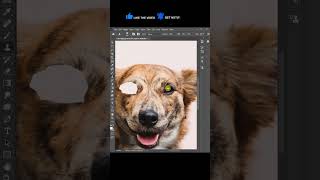 PHOTOSHOP | Clone Stamp Tool - Adobe Photoshop Tutorial for Beginners | Artisa 23