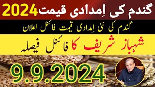 Wheat Support Price in Punjab Pakistan 2024 / گندم کی نئی امدادی قیمت فائنل اعلان