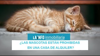 ¿Las mascotas están prohibidas en una casa de alquiler?