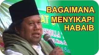 Bagaimana menyikapi para Habaib