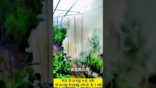 Khử trùng và khử trùng trong nhà kính