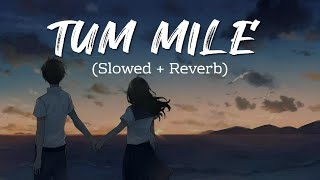 Tum Mile Slowed and Reverb