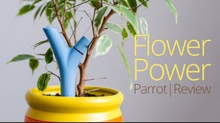 Обзор электронного садовода Parrot Flower Power | UiP