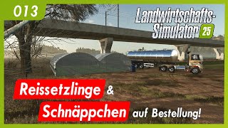 LS25 | 013 - Hutan Pantei | Reissetzlinge & Schnäppchen auf Bestellung! | Let's play | gameplay