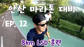 안산 마라톤 대비 8km LSD훈련  운동 브이로그