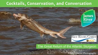 Cocktails, Conservation, and Conversation: The Great Return of the Atlantic Sturgeon zoom 0 2