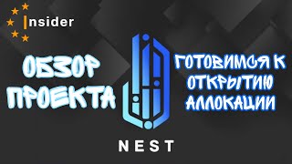 Обзор монеты Nest📢🪙 Новая аллокация в Insider Club