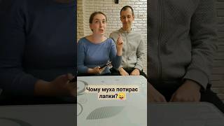 Загадка: Чому муха потирає лапки?😜🪰 #загадки #логіка