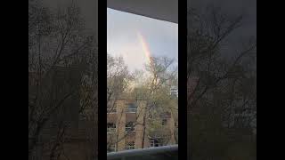 #rainbowfromwindowshorts