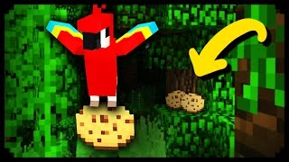 ✔ Minecraft: 10 Things You Didn't Know About Parrots