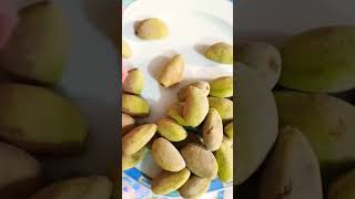 kachey badam aur pistey / Pistachio and almonds fresh #shortsvideo #garden #viralshort