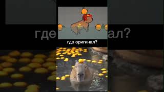 капибары