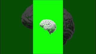 Paper Fold Brain Green Screen Template #greenscreen #4kfootage#screencrafter #paperfoldeffect