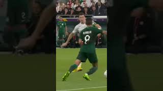 Piękny gol Lewego w meczu z Arabią