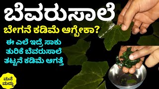 ಬೆವರುಸಾಲೆ ತುರಿಕೆ ತಕ್ಷಣಕ್ಕೆ ಕಡಿಮೆ ಆಗ್ಬೇಕಾ? ಇಷ್ಟೇ ಮಾಡಿ ಸಾಕು |Home Remedy for Bevarusale Summer Itching