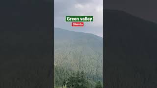 Green valley || Shimla tour || queen of hills #shorts #first #youtubeshorts #viral