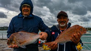 BANGING Snapper From Land & Catch & Cook Fishing Melbounre Port Phillip Bay