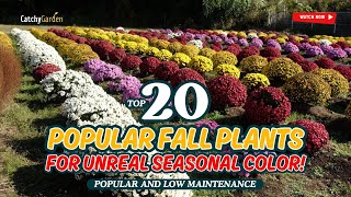 🌻 TOP 20 FALL PLANTS FOR UNREAL SEASONAL COLOR! 😍🍁🍂 // Gardening Ideas