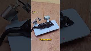 A Must Have Humane Mouse Trap - Massage Trap 🐭 #viral  #shortvideo  #viralvideo