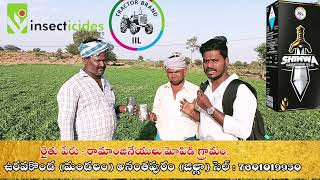 iil Shinwa insecticide farmer feedback on groundnut crop//వేరుశెనగ పంటలో ఐఐఎల్ కంపెని వారి "శిన్వా"