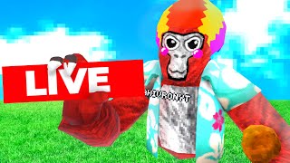 Gorilla tag live🔴CLOUDS RERAMP🔴Tag Minigames and more💌Road to 19k🔴