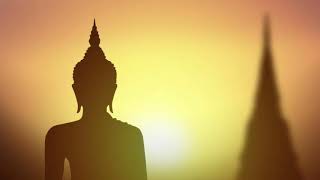 Vesak Day - Buddha Purnima - Whatsapp Status - Picture Quotes