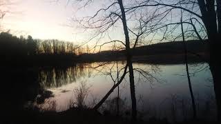 Retired in PA - Spring peepers