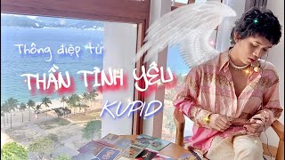 🆘Thông điệp từ “THẦN TÌNH YÊU (KUPID)” gửi đến bạn 🏹❤️ Kitoàn Tarot Channel