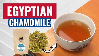 Egyptian Chamomile