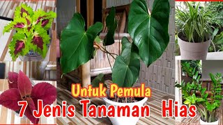 7 Jenis Tanaman Hias Yang Wajib Tau Untuk Pemula Yang Hobby Tanaman #tanamanhias