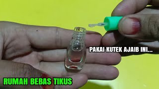 SELAMANYA RUMAH KALIAN TIDAK ADA TIKUS LAGI, BEGINI CARA MEMBUAT RAMUAN AMPUH PENGUSIR TIKUS