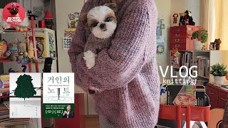 [뜨개하며독서 vlog-42]길버트 풀오버 셋뚜완성ㅣ단 한 사람ㅣ거인의 노트ㅣ시츄강아지ㅣ강아지뜨개옷ㅣ뜨개로그ㅣ일상기록ㅣ뜨개에도른자ㅣ1인가구ㅣknittingㅣ축구 아시안컵 응원