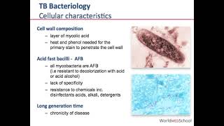 TB bacteriology #medicaleducation #diseaseawareness #medical like, share & subscribe