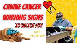 Canine Cancer Warning Signs