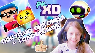 Покупаю питомца и начинаю обустраивать дом в игре PK XD