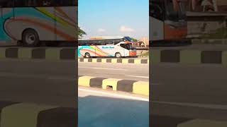 BUS SUGENG RAHAYU FT. BUS ROSALIA INDAH DI EXIT TOL SRAGEN TIMUR‼️#shorts #busmania #rosaliaindah