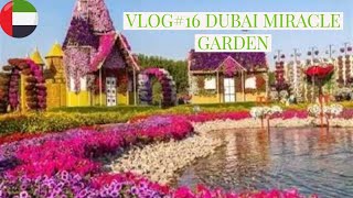 VLOG# 16|DUBAI MIRACLE GARDEN|DUBAI|U.A.E|2017