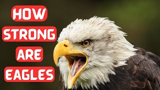 why are eagles so strong?