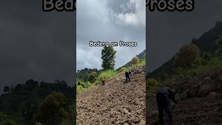 Ma'bedeng #berkebun #viral #video #trending #shortvideo #pedesaan #kebun #hidupdidesa #fyp #shorts