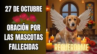 ❤️‍🩹🙏 ¿Cómo orar por mi mascota fallecida este 27 de octubre? 💀🐾