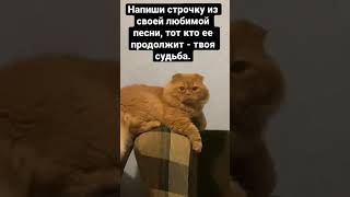 Возможно ты найдёшь именно ту/того🥺