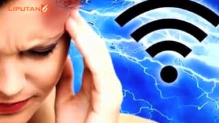 Alergi Akibat WIFI Timbulkan Reaksi Fisik