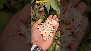 Easy Gardening 🤝💐 | Beautiful Terrace Garden | Gardening Ideas | Container Gardening