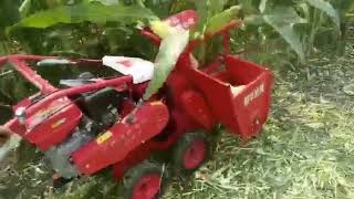 walking tractor corn  harveser