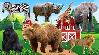 Cutest Animal Sounds and Behaviors Compilation: Polar bear, Chicken, Dog, Ostrich, Oryx, Boar